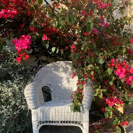 Szálloda Alexandra - Boutique