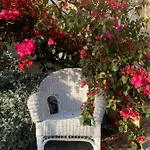 Hotel Alexandra - Boutique