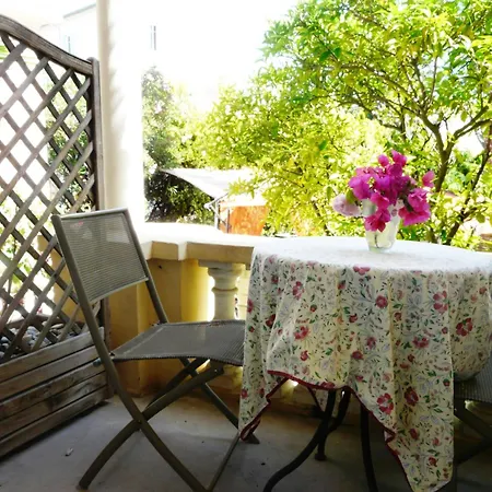 Alexandra - Boutique Juan-les-Pins