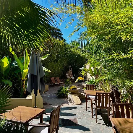 Alexandra - Boutique Hotel Juan-les-Pins