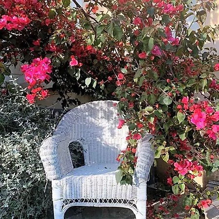 Hotel Alexandra - Boutique Juan-les-Pins