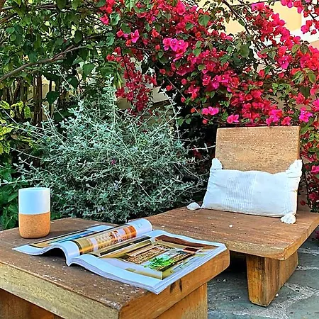 Alexandra - Boutique Otel Juan-les-Pins